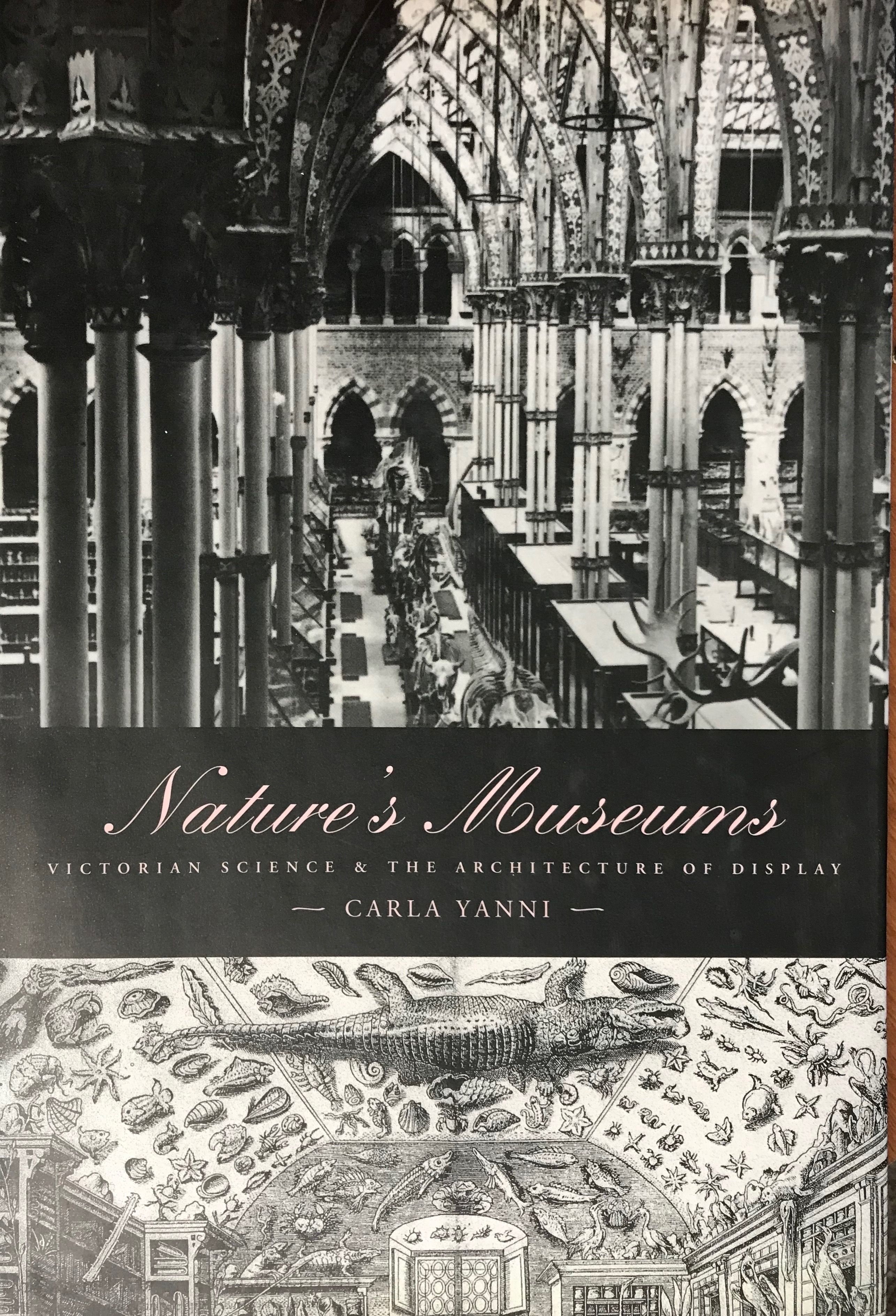Cover Yanni Natures museums